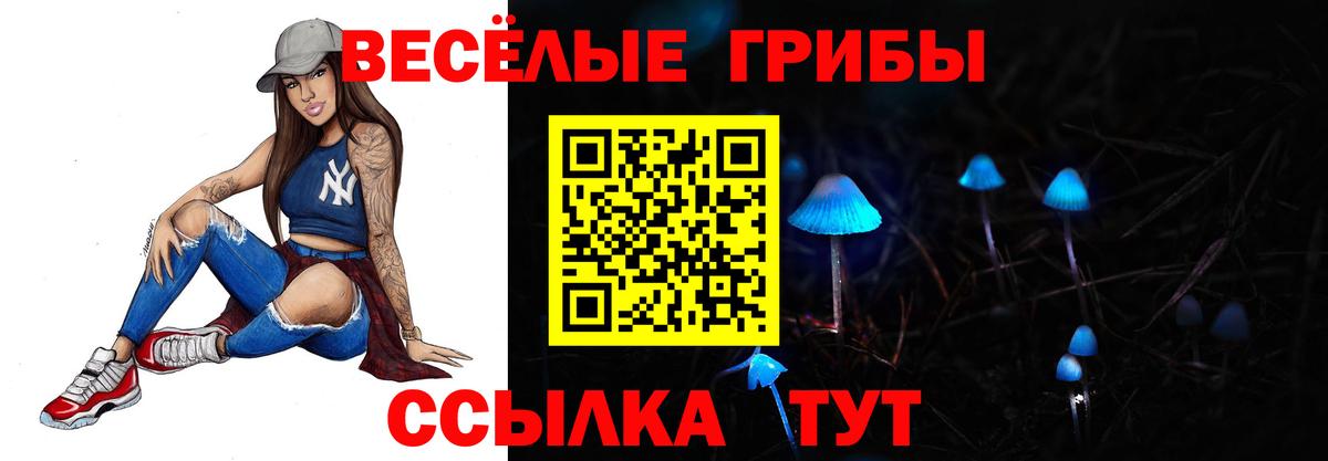 Йошкар-Ола  Галлюциногенные грибы Psilocybine cubensis  Вход с VPN 