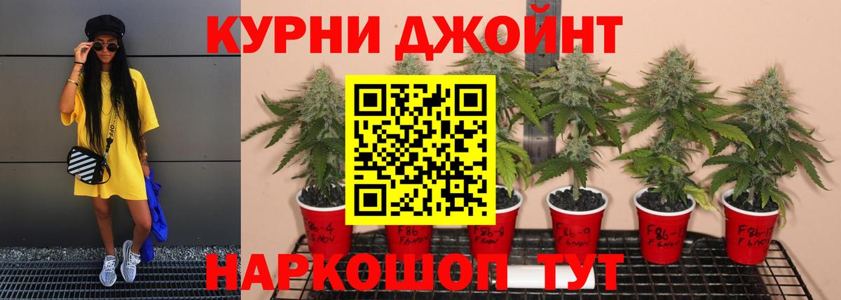 МАРИХУАНА LSD WEED  Канабис White Widow  Вход с VPN  Йошкар-Ола  Каннабис план 